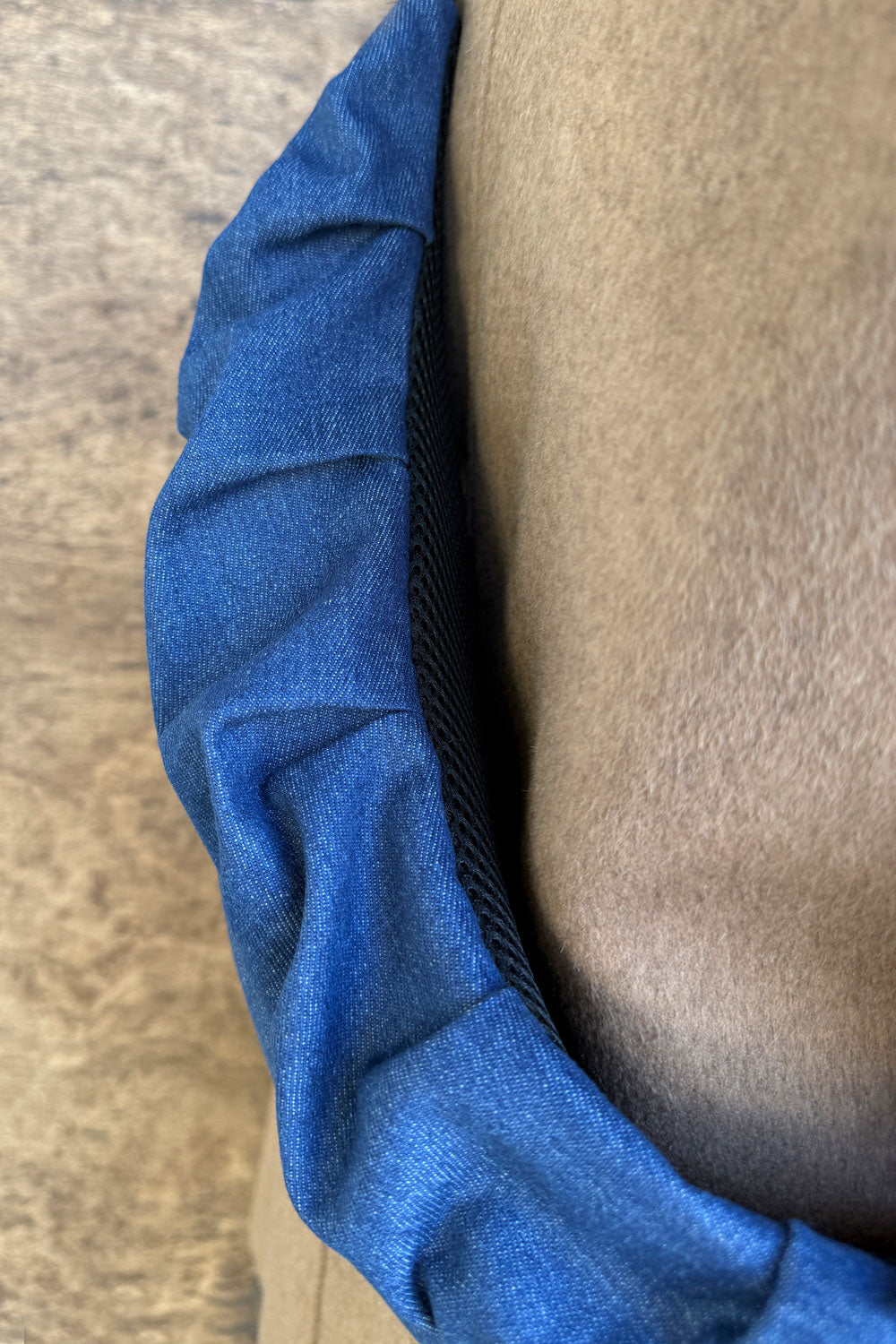 פאוץ׳ גדול אסנת