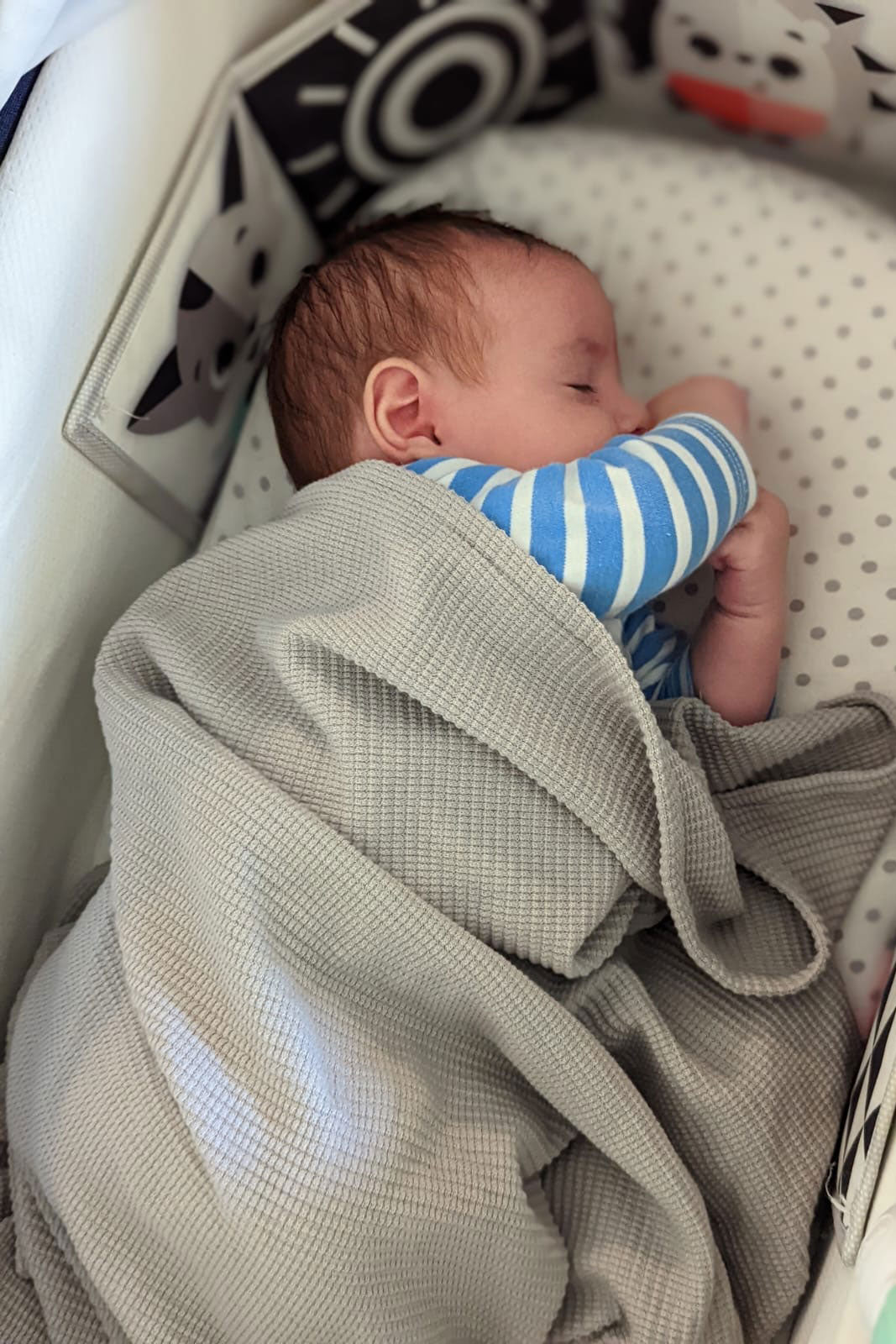 שמיכת עיטוף לתינוק - שחור אורבני דגם ורונה