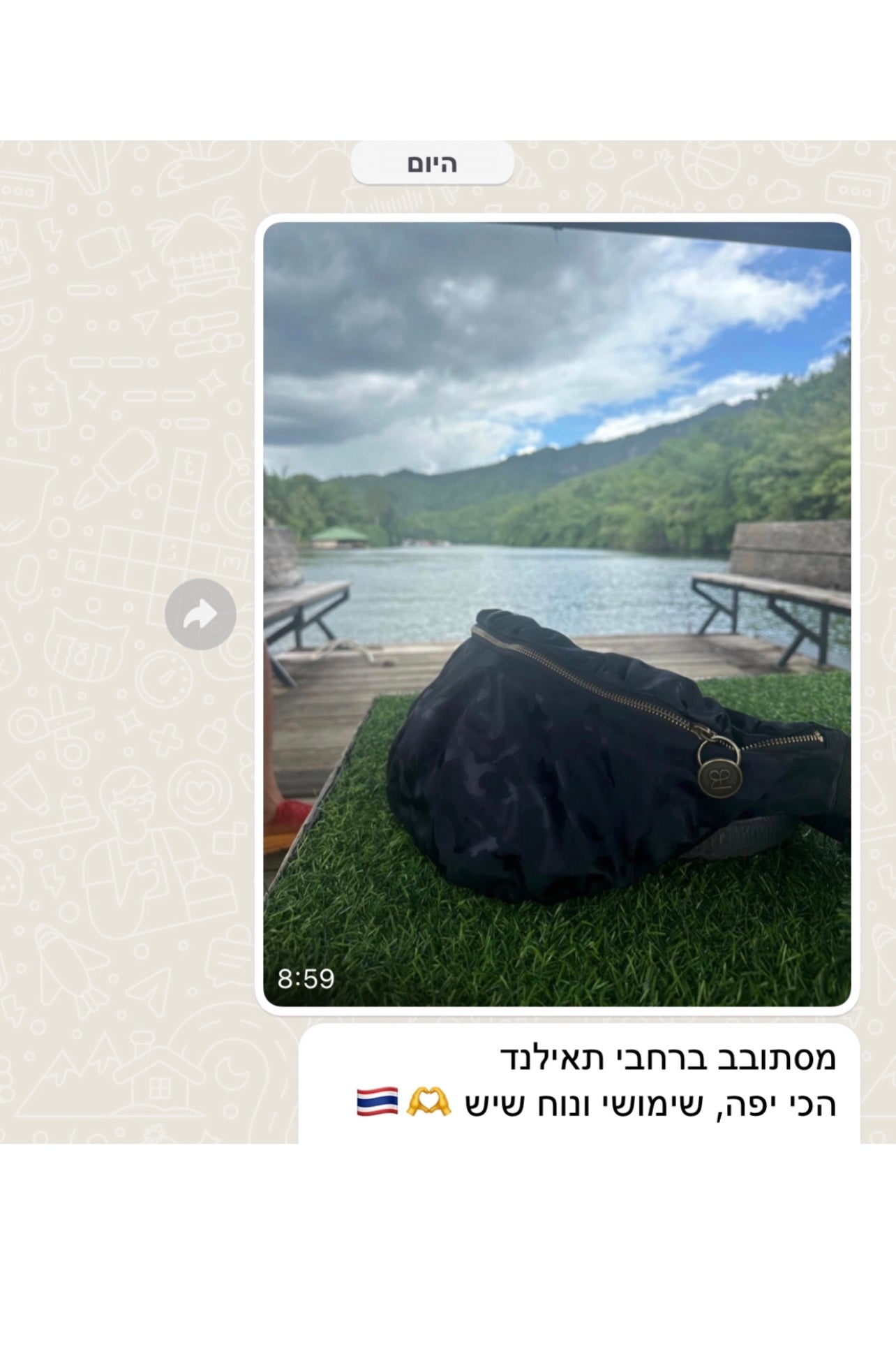 פאוץ׳ גדול מונה