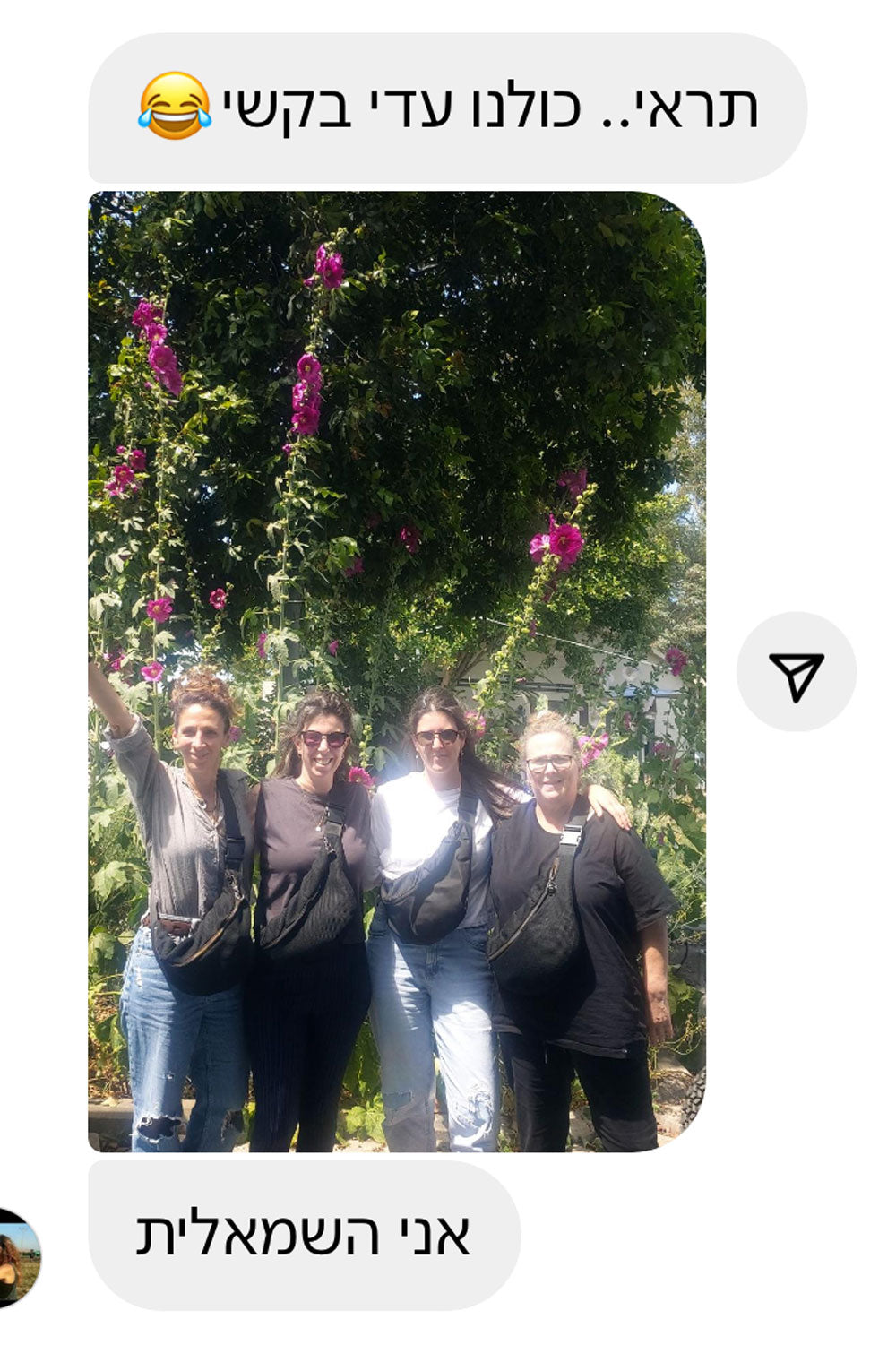 פאוץ׳ גדול כריסטינה