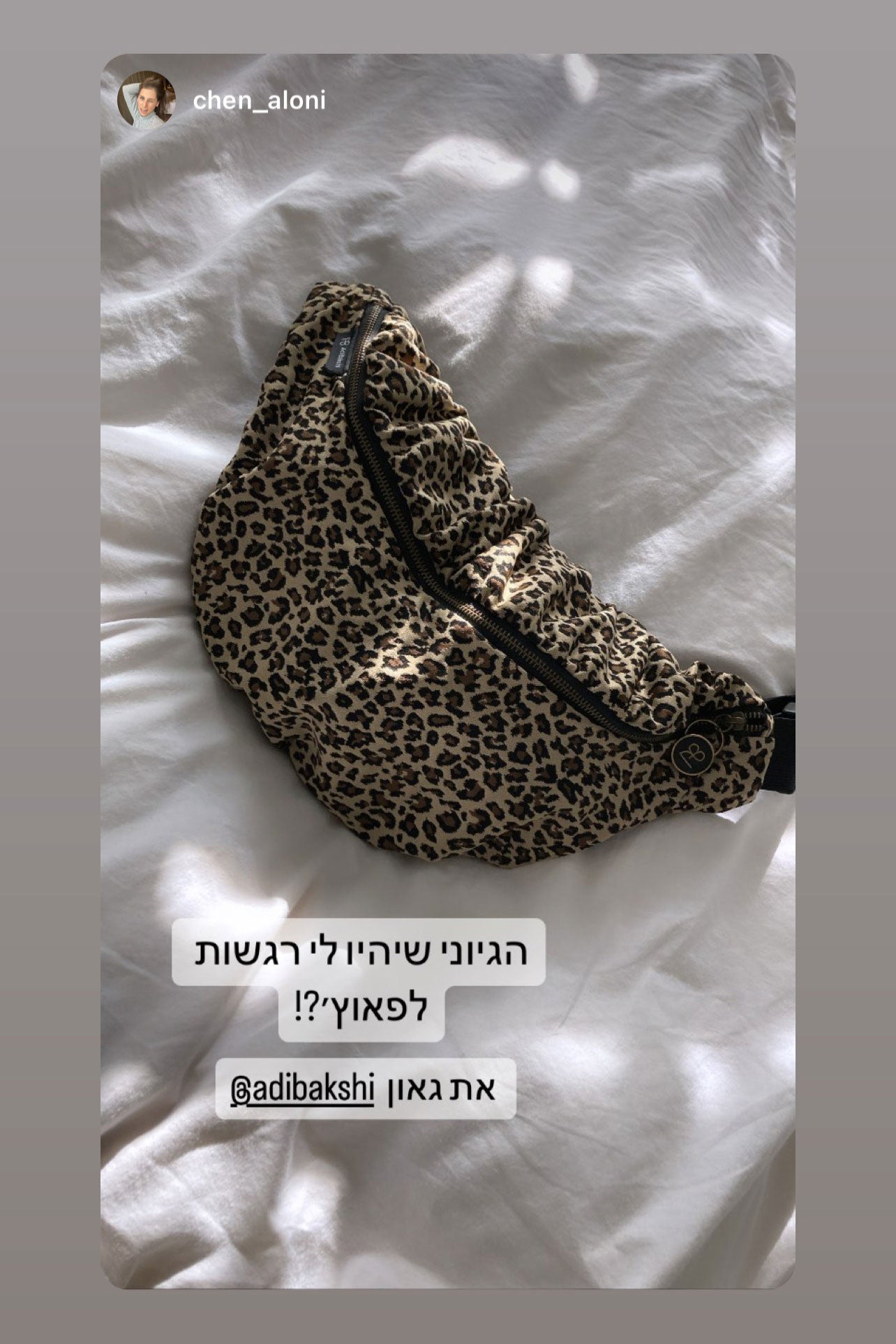 פאוץ׳ גדול קורה